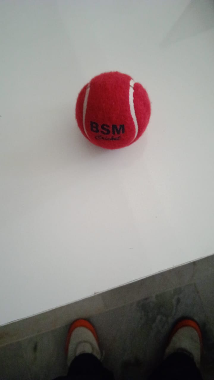 🏏 BSM Red Cricket Ball